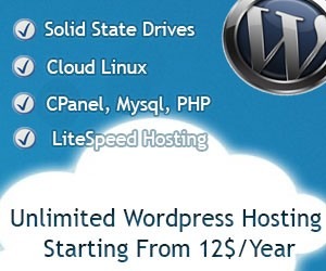 Unlimited WordPress Hosting Package